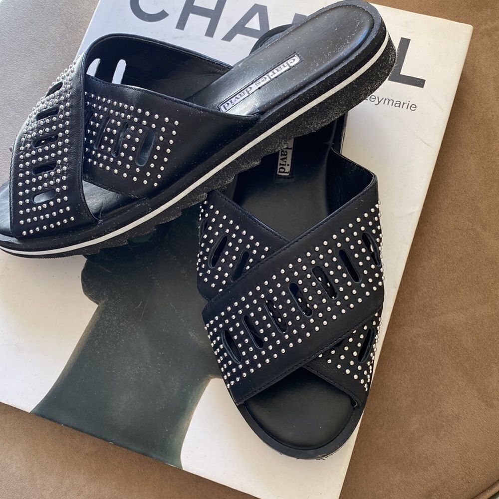 Charles David Slide NWOT - Picture 5 of 8